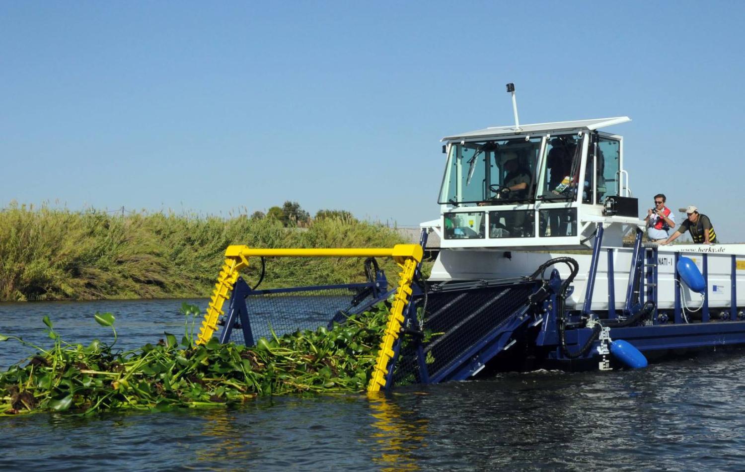 BERKY TRITON 1500 auf Wasser im Einsatz, sammelt Wasserpflanzen ein