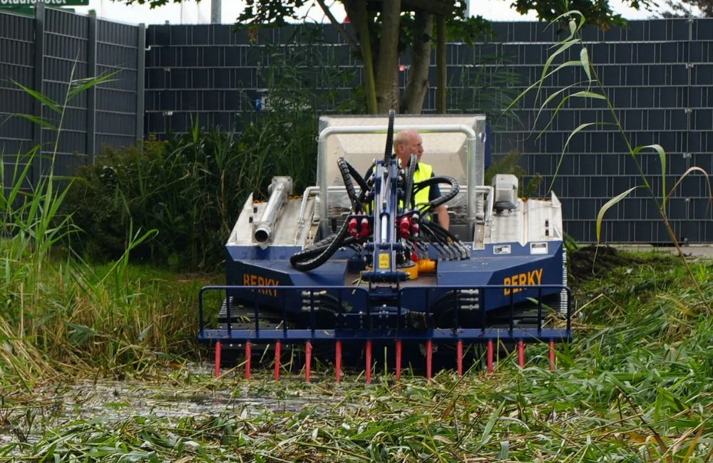 BERKY NEREUS 240 Amphi ready to collect reed plants with the collecting rake