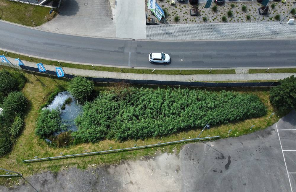 Auffangbecken vor der Teichreinigung