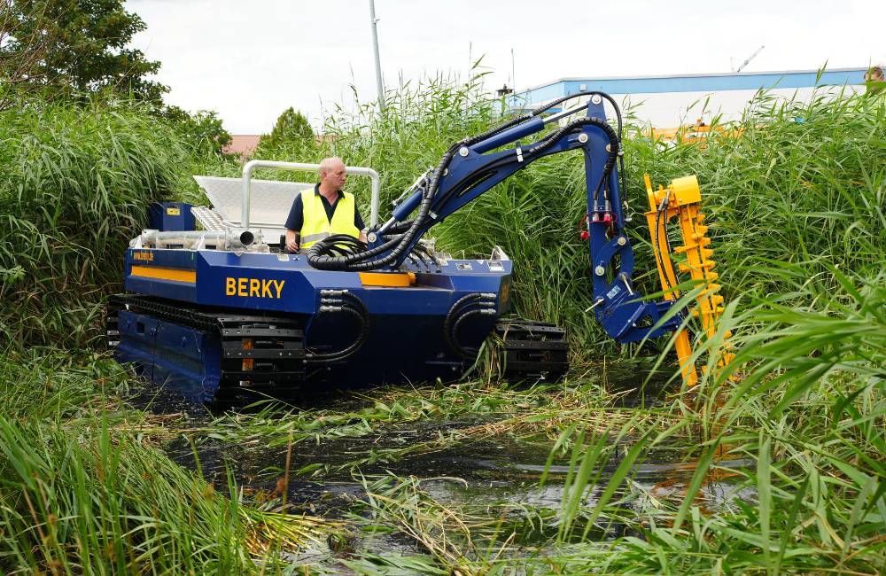 BERKY NEREUS 240 Amphi cuts reeds